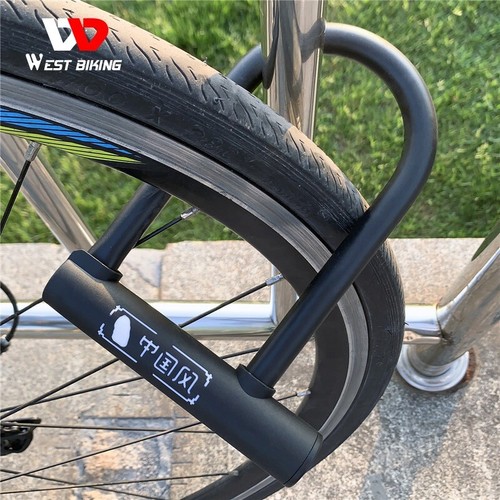 Black carbon steel bicycle - carbon,